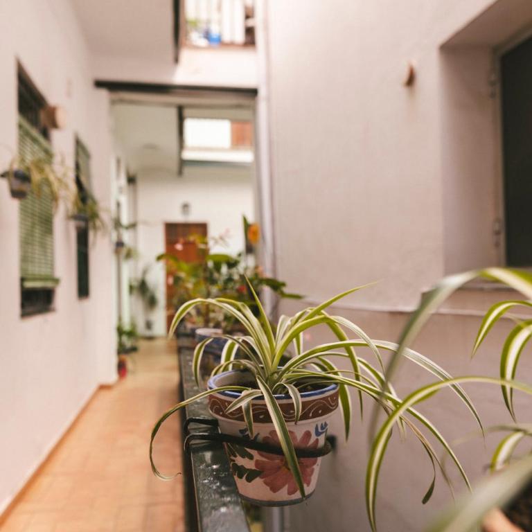 Alohamundi Ardilla - Apartamento de 1 dormitorio - 27