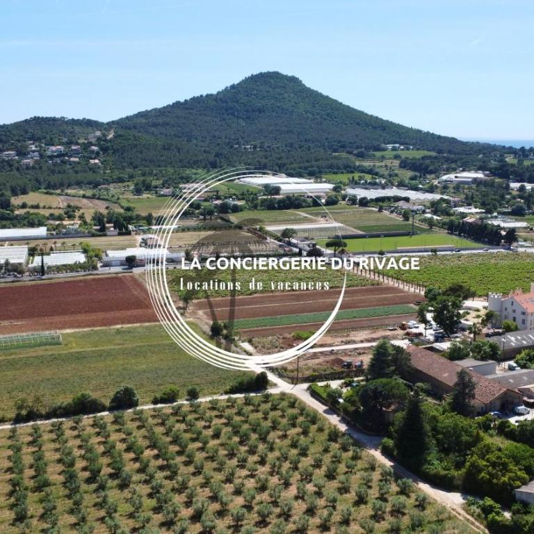 La Ratopenado - Villa Provençale - Piscine - Villa - 30