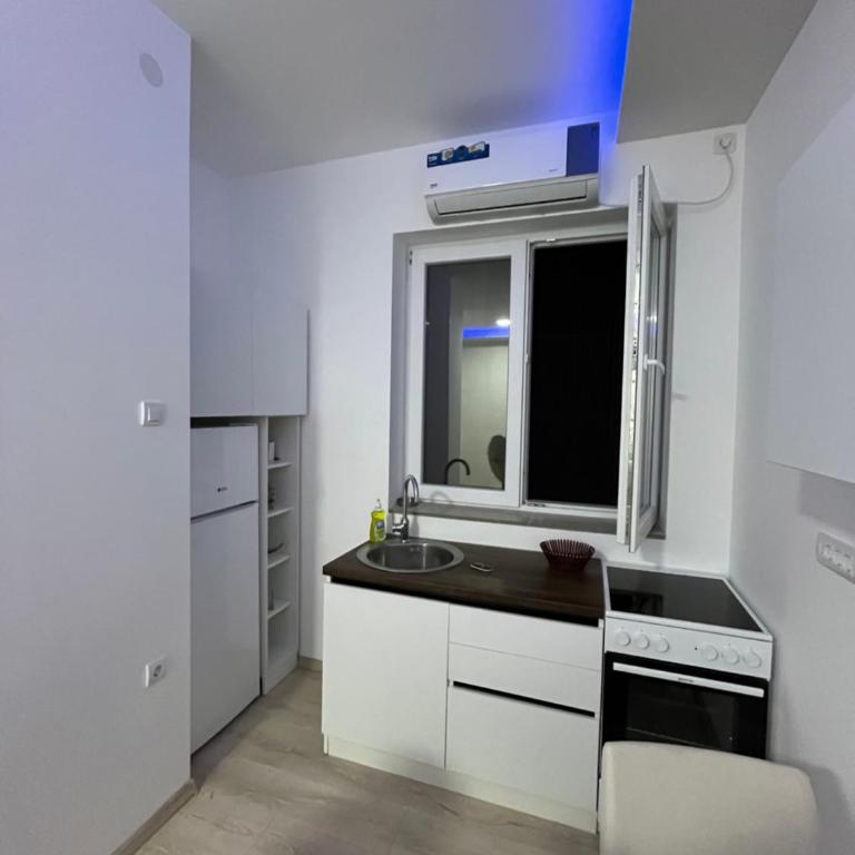 Saška Apartments - Apartman sa 1 Spavaćom Sobom - 9