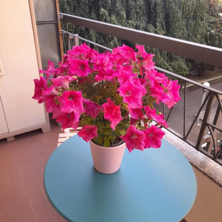 Suite Emotion 716 e sei a casa! - Monolocale Deluxe - 15