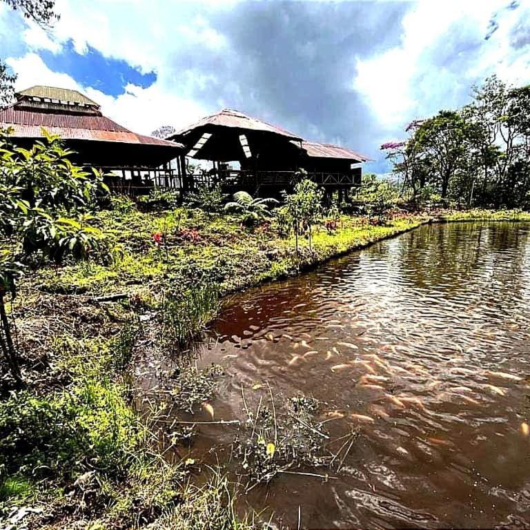 Casa Vacacional - Yantza Tur - Casa de 4 dormitorios - 4