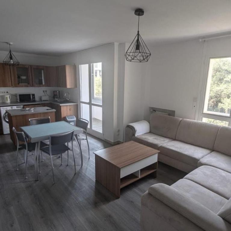 appartement 3 pieces 2 chambres centre ville - Appartement 1 Chambre - 9