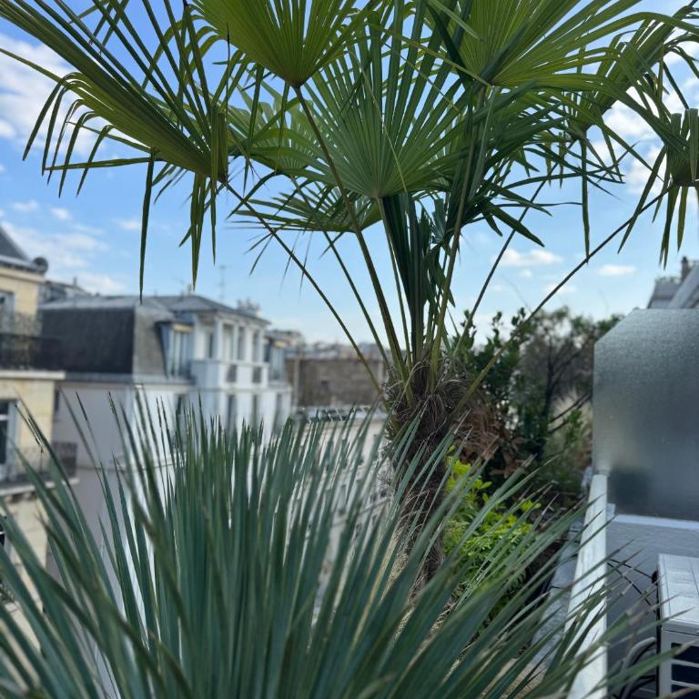 Les Terrasses de l Arc - Appartement 1 Chambre - 11