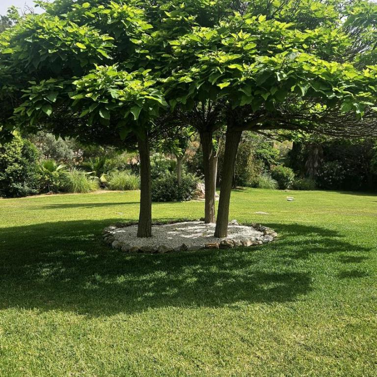 Alhaurín Golf Mountain & Pool - Two-Bedroom Apartment - 26