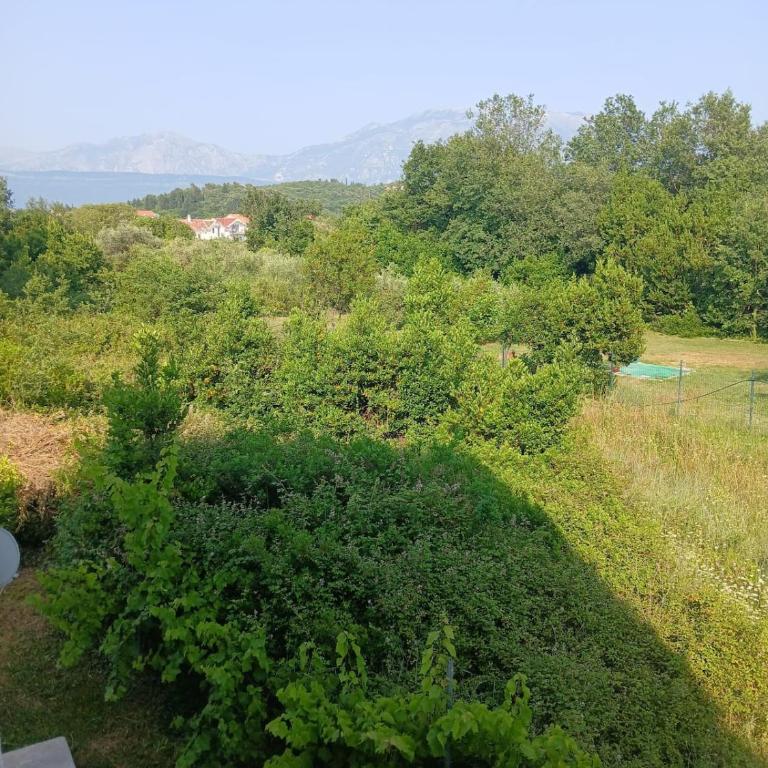 Radovici Family House - Kuća sa 4 Spavaće Sobe - 10