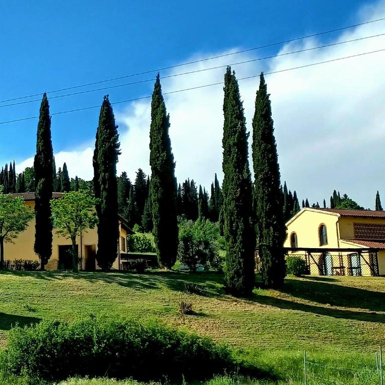 Agriturismo Casa Alla Madonna - Suite Familiare con Balcone - 1
