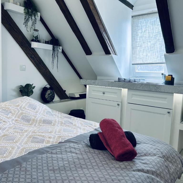 Cocon au cœur de Strasbourg - Appartamento con 1 Camera da Letto - 1
