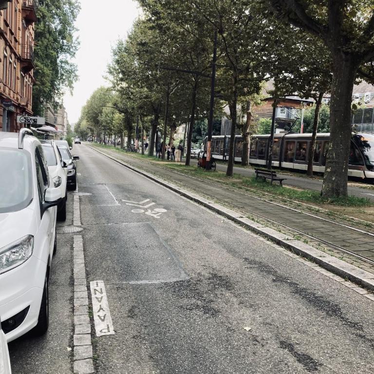 Cocon au cœur de Strasbourg - Appartamento con 1 Camera da Letto - 8