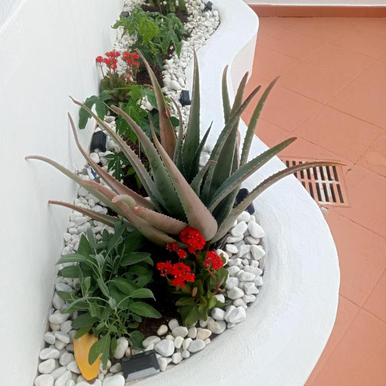 CASA TINA piscina privada - Apartamento - 26