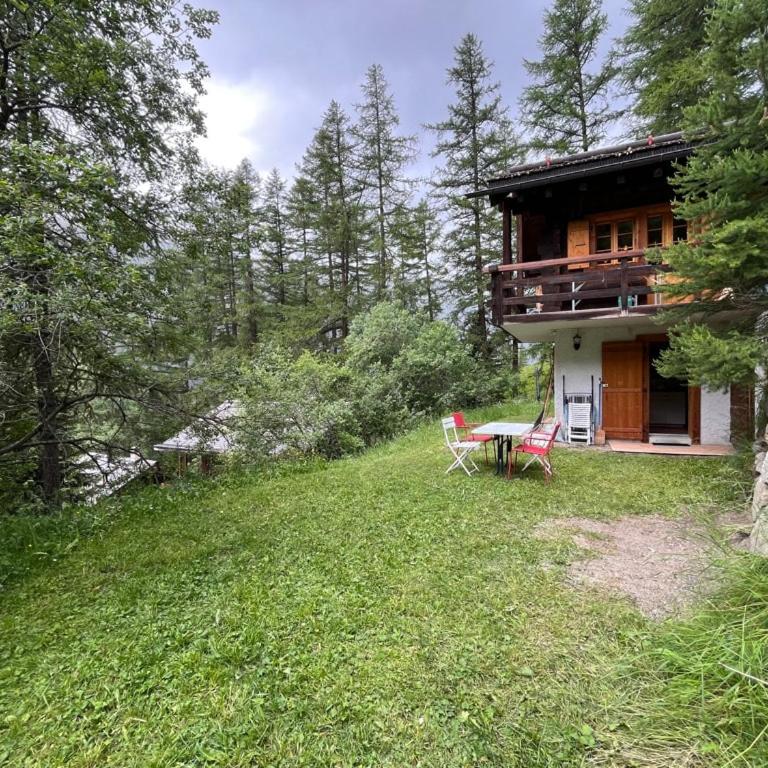 Appartement avec jardin au coeur de la nature - Apartment mit 1 Schlafzimmer - 1