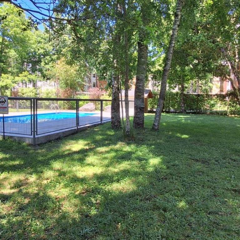 Bosque Volcánico - Apartamento de 1 dormitorio - 10