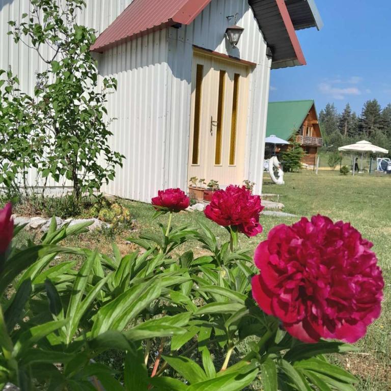 Vikendica Borje - Maison de Vacances - 10