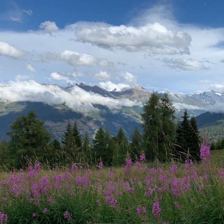 Le9 Bel appartement à Thyon Les Collons, Switzerland - Apartment mit 2 Schlafzimmern und Bergblick - 14