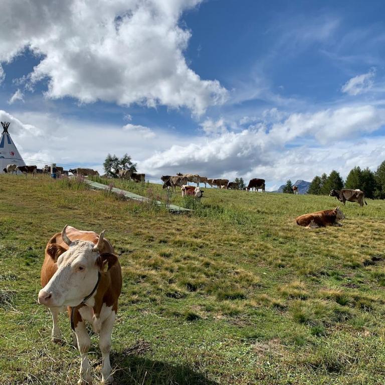Le9 Bel appartement à Thyon Les Collons, Switzerland - Apartment mit 2 Schlafzimmern und Bergblick - 31