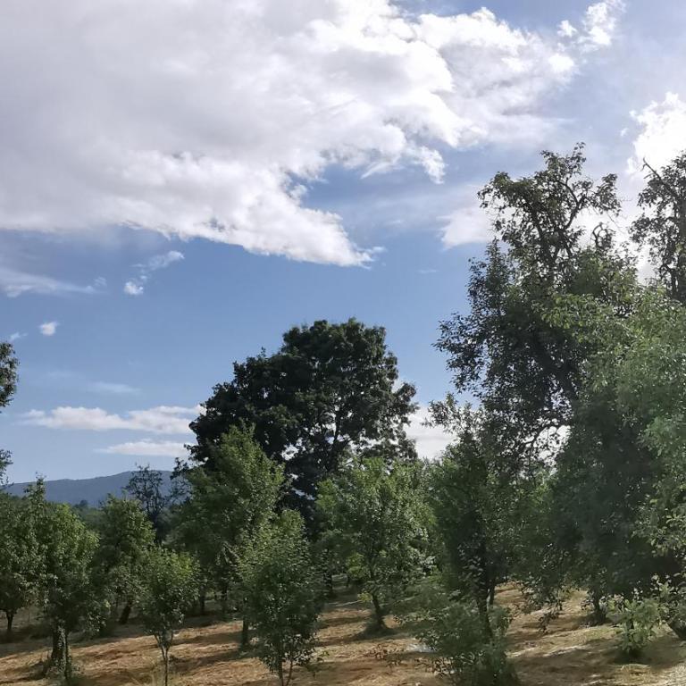 Apartman Taris - Apartman sa 1 Spavaćom Sobom - 19