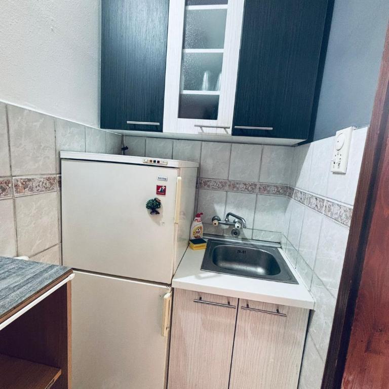 EXIT Festival Stay - 1MIN from City Center - Apartman - 4