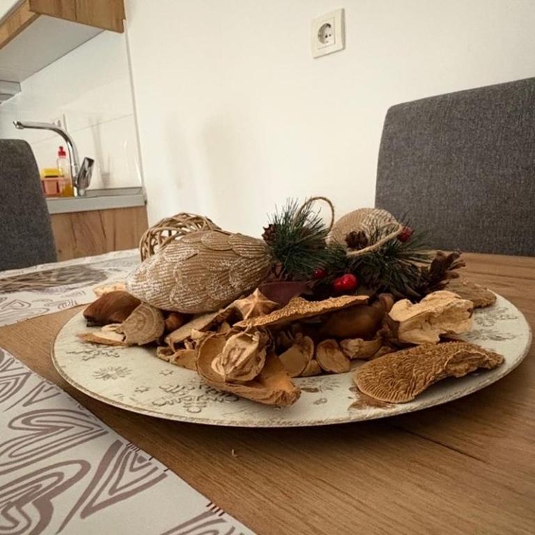 Apartman Mila lux Vrnjačka Banja - Apartman sa 1 Spavaćom Sobom - 5
