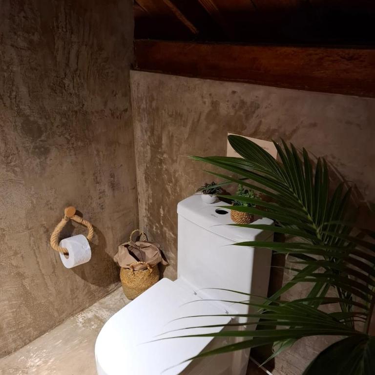 Mangle House Cabañas Ladrilleros - Suite con bañera de hidromasaje y cama grande - 17