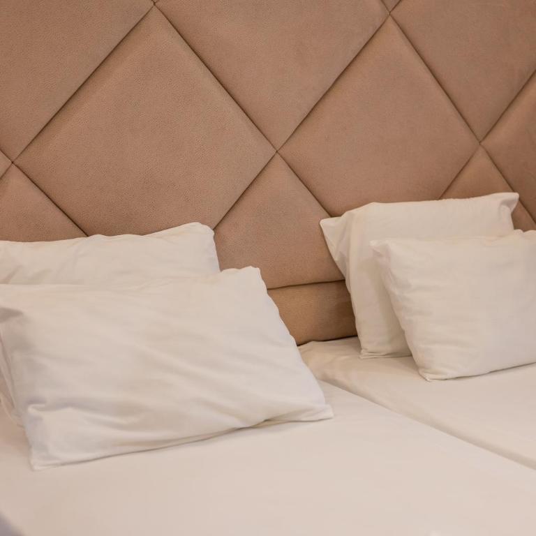 Hotel Evropa - Deluks Dvokrevetna Soba sa Bračnim Krevetom - 7