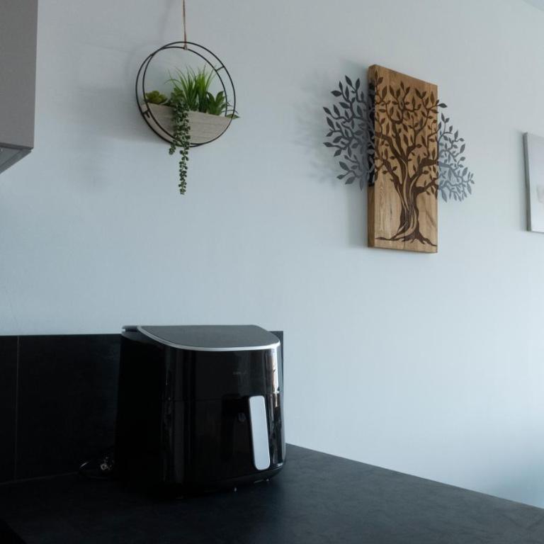 Appt T3 Résidence La Belle Eugénie - Appartamento con Balcone - 11