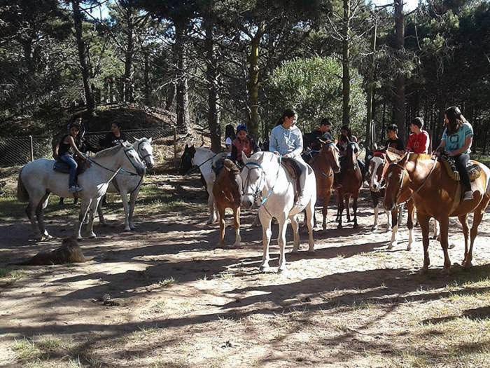casa Cariloimagine, para 14 personas, con servicios, 3 cuadras de la playa y 3 del centro comercial - Casa - 40