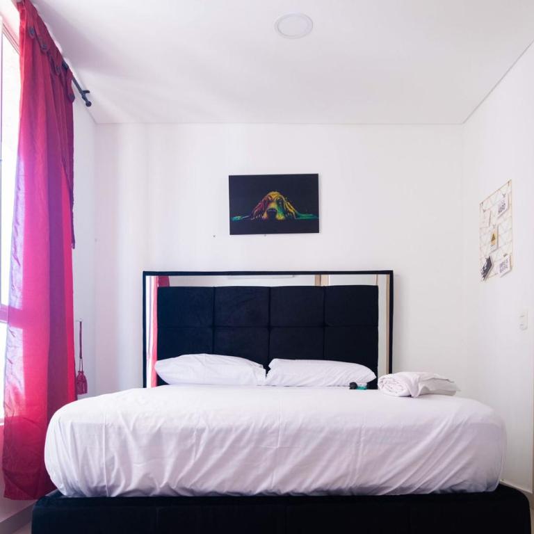 Luxury Apt - Two-Bedroom Superior Apartment - 7