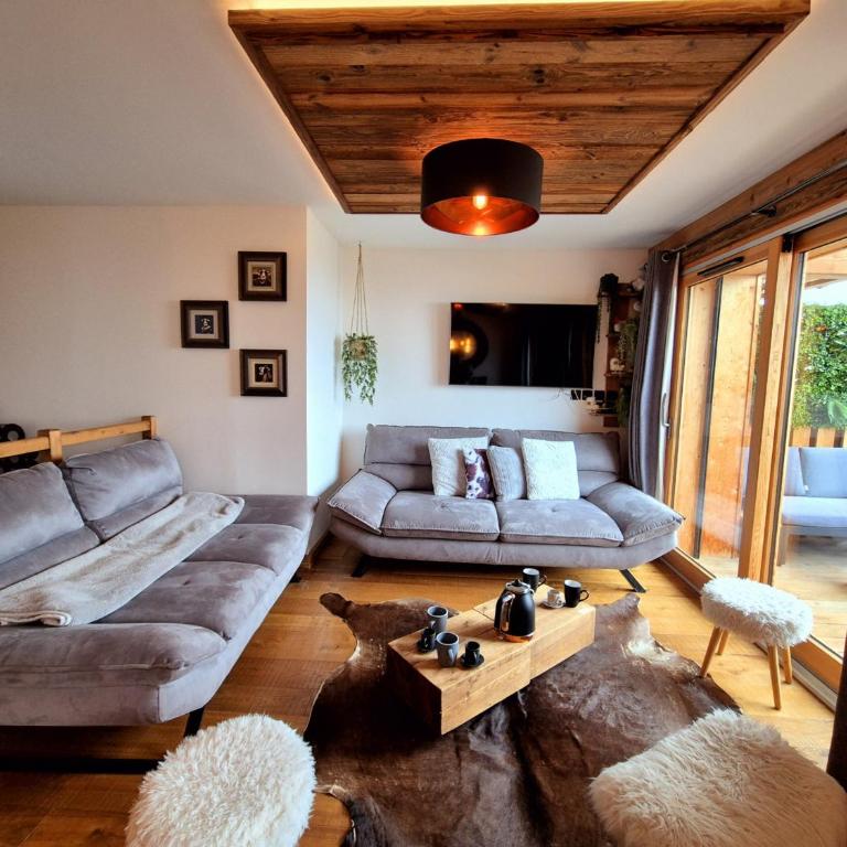 Appartement chaleureux aux Gets, 3 chambres, Wi-Fi - FR-1-671-296 - Appartement - 12
