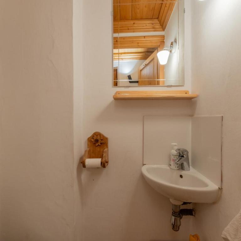 Lodge 4 Apartment 9- Snow and Trek - Morzine - Two-Bedroom Apartment with Terrace - 14