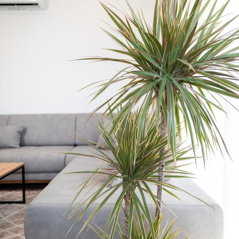 AndArt Heaven - Apartman sa 2 Spavaće Sobe - 13