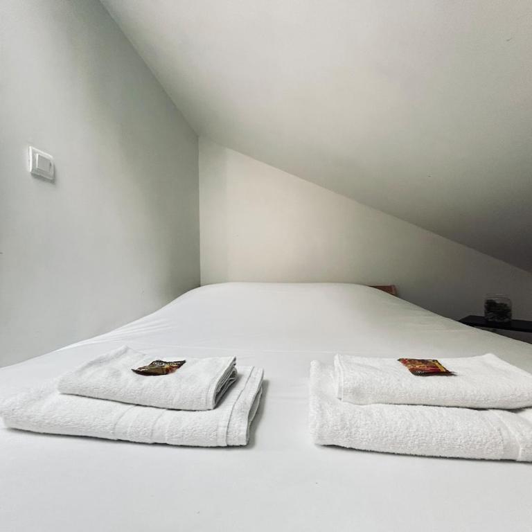 Jonquille 9 trés cozy proche centre ville - Appartamento con 1 Camera da Letto - 3