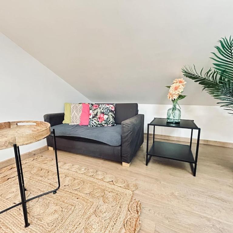 Jonquille 9 trés cozy proche centre ville - Appartamento con 1 Camera da Letto - 17