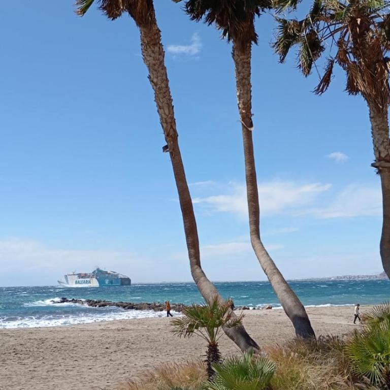 Piso alquiler almeria - Apartamento de 3 dormitorios - 7