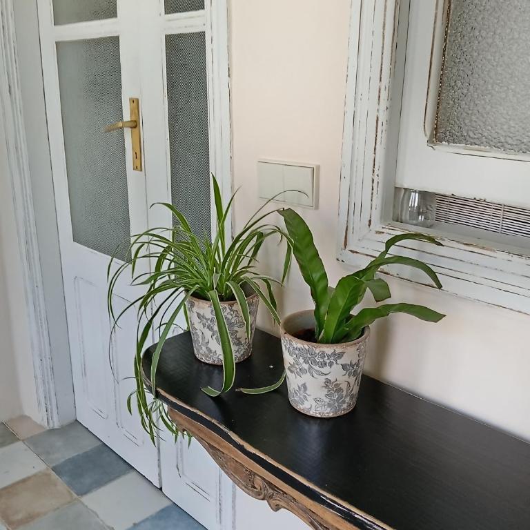 Piso Iwvaxi, gallery house. Ourense. - Apartamento de 1 dormitorio - 22