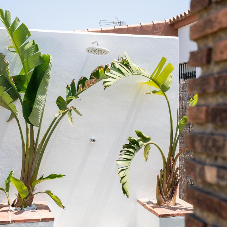 Los jardines de Zahora C02 - Casa de 2 dormitorios - 4