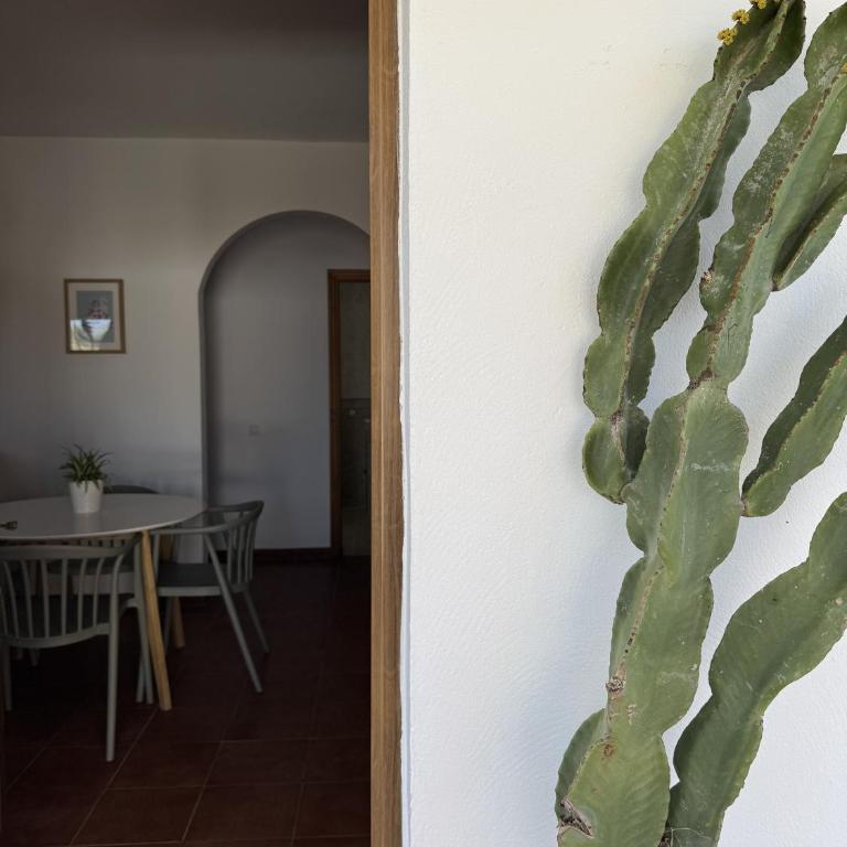 Los jardines de Zahora C02 - Casa de 2 dormitorios - 6