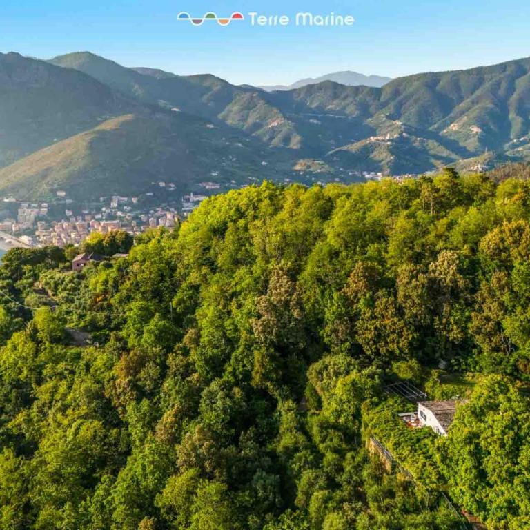 Infinito, Terre Marine - Villa - 40