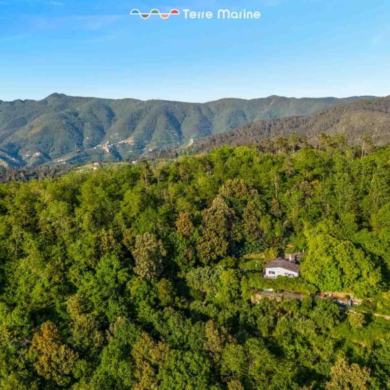 Infinito, Terre Marine - Villa - 37
