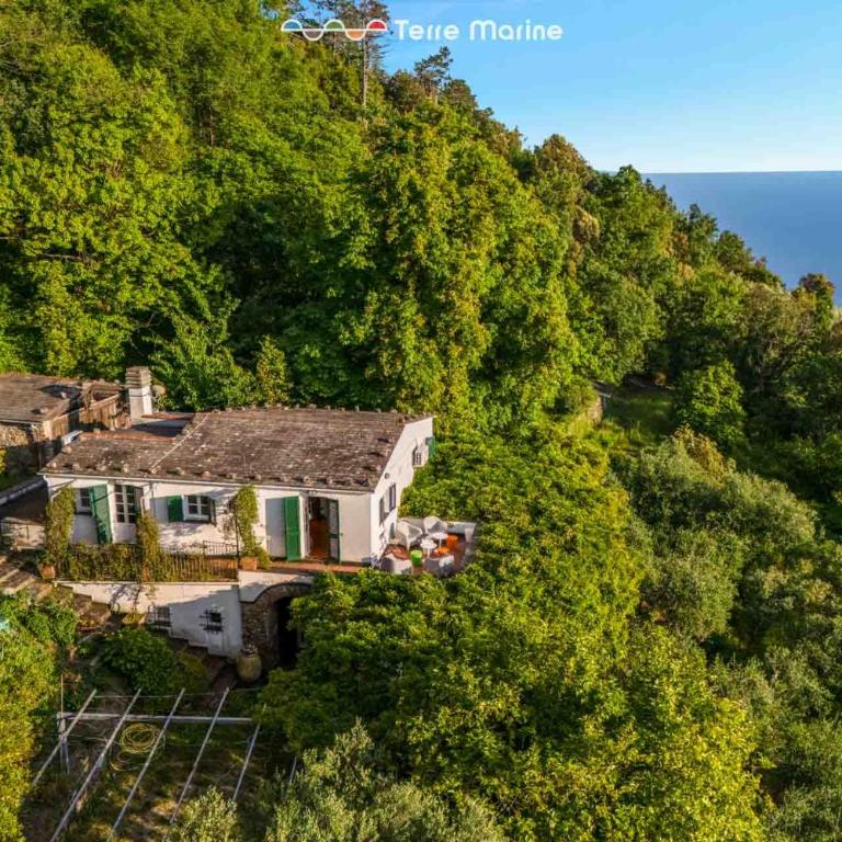 Infinito, Terre Marine - Villa - 3