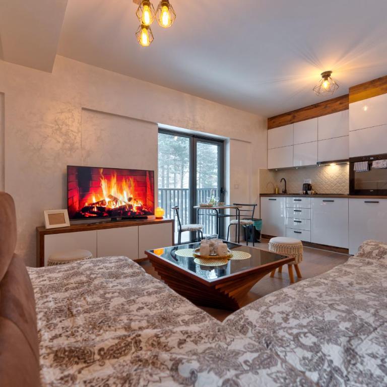 Magi apartman Zlatibor - One-Bedroom Apartment - 5