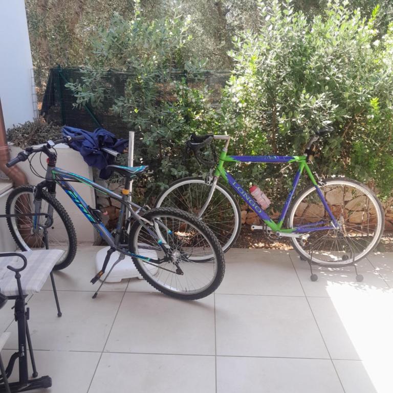 Villa Maresca - countryside house in Carovigno - Two-Bedroom House - 7