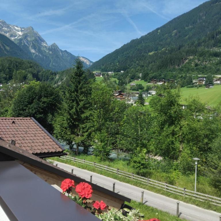 Landhaus Bliem - Apartment mit 2 Schlafzimmern und Dusche - 10
