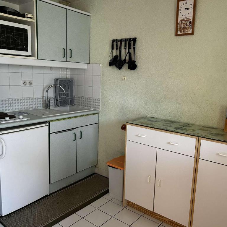 Appart 2 pièces avec piscine et parking à Port Camargue - FR-1-250-293 - Appartamento - 7