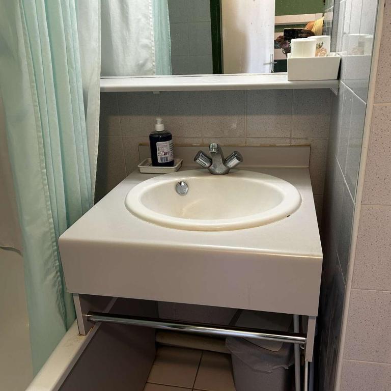 Appart 2 pièces avec piscine et parking à Port Camargue - FR-1-250-293 - Appartamento - 16