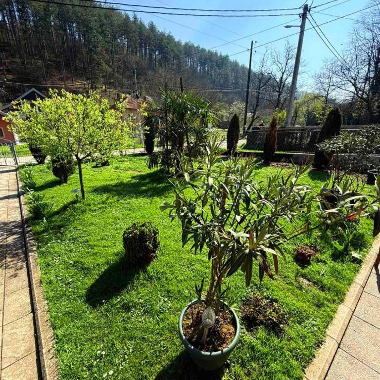 Apartmani Miodragović - nedaleko od Snežnika, 100 metara pre bazena - Apartman sa 1 Spavaćom Sobom - 6