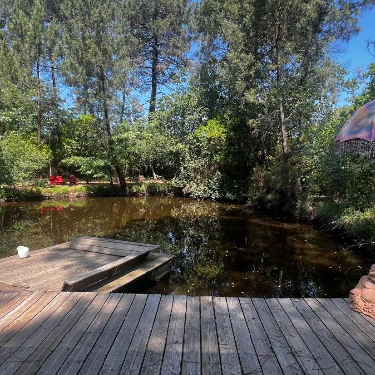 L'Aquarium de Proust sous les arbres - Chalet 2 Chambres - 5