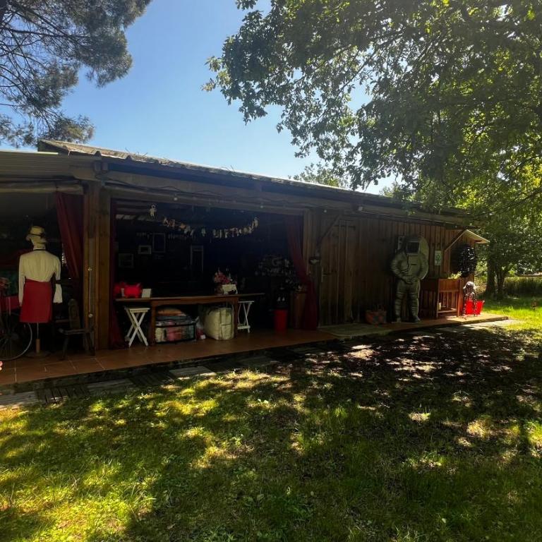 L'Aquarium de Proust sous les arbres - Chalet 2 Chambres - 11