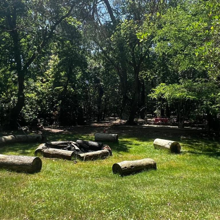 L'Aquarium de Proust sous les arbres - Chalet 2 Chambres - 13