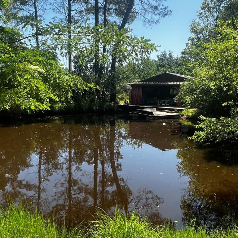 L'Aquarium de Proust sous les arbres - Chalet 2 Chambres - 4