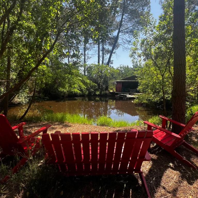 L'Aquarium de Proust sous les arbres - Chalet 2 Chambres - 3