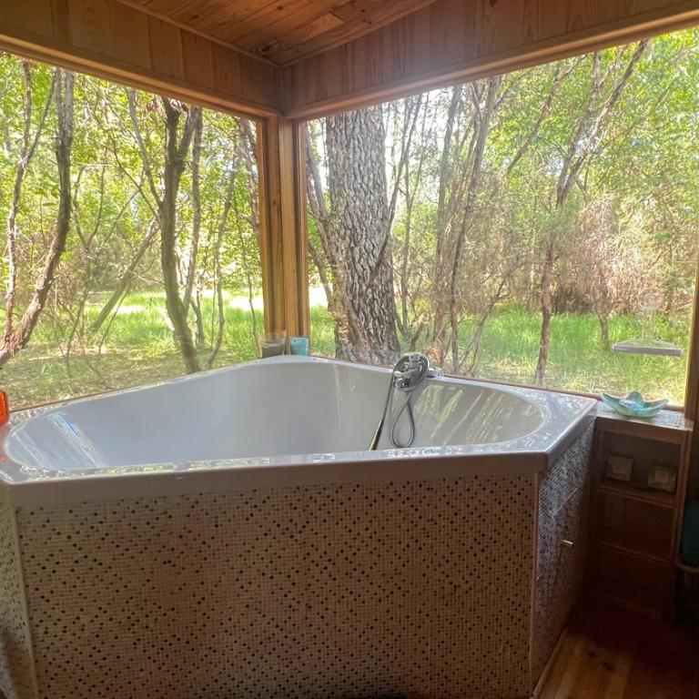 L'Aquarium de Proust sous les arbres - Chalet 2 Chambres - 49
